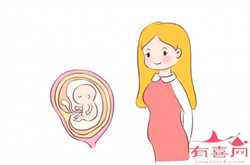 用t的卵子p怀孕有p的dna嘛_百合生孩子成功_神经性厌食症该咋治？