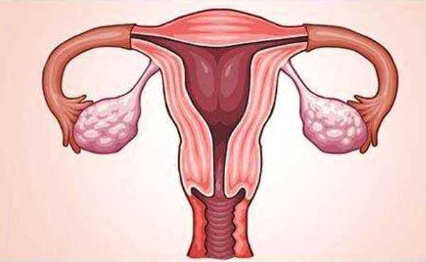 女女骨髓生孩子成功案例，乌克兰试管婴儿囊胚移植的标准是什么?